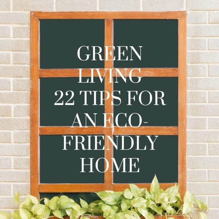 Green Living – Tips For an Eco-Friendly Home