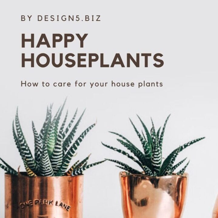 Happy Houseplants – How to care for your plants